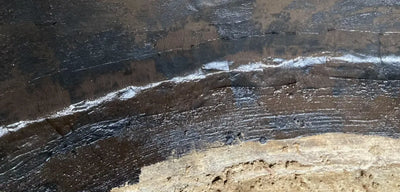 Project by Frank Novak